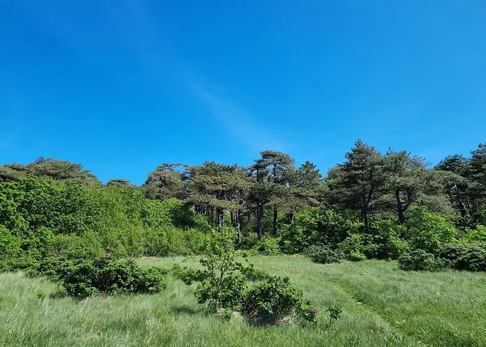 公寓 Haus Frauenpreiss 203 *