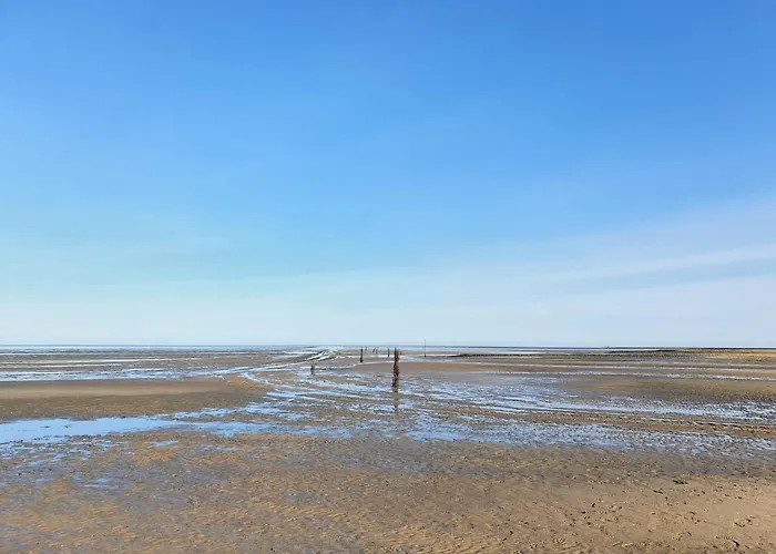 公寓 Haus Frauenpreiss 203 库克斯港