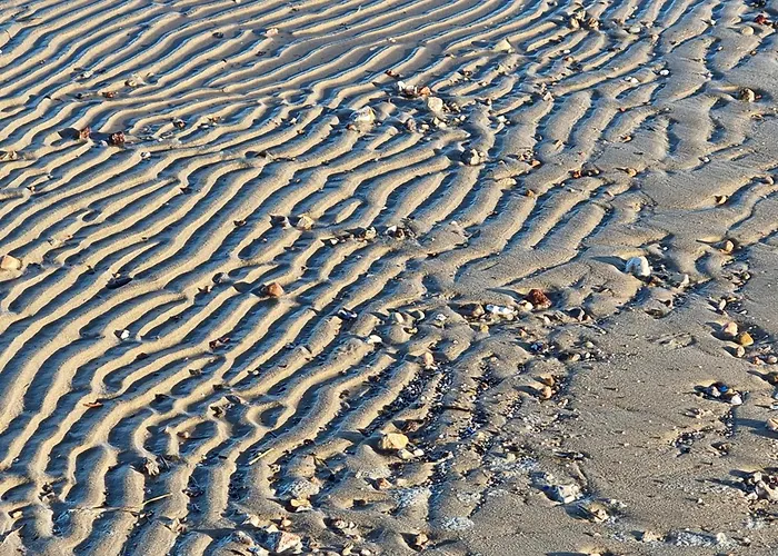 Haus Frauenpreiss 203 公寓 库克斯港